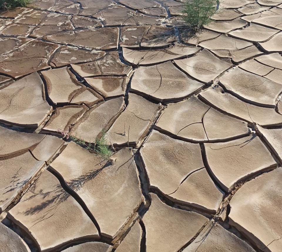 Water-Energy-Food-Ecosystems (WEFE) Nexus Lecture No. 21: Turning challenges into opportunities: Commercial uses for silt: Cases of Tuyamuyun and Tallimarjan reservoirs
