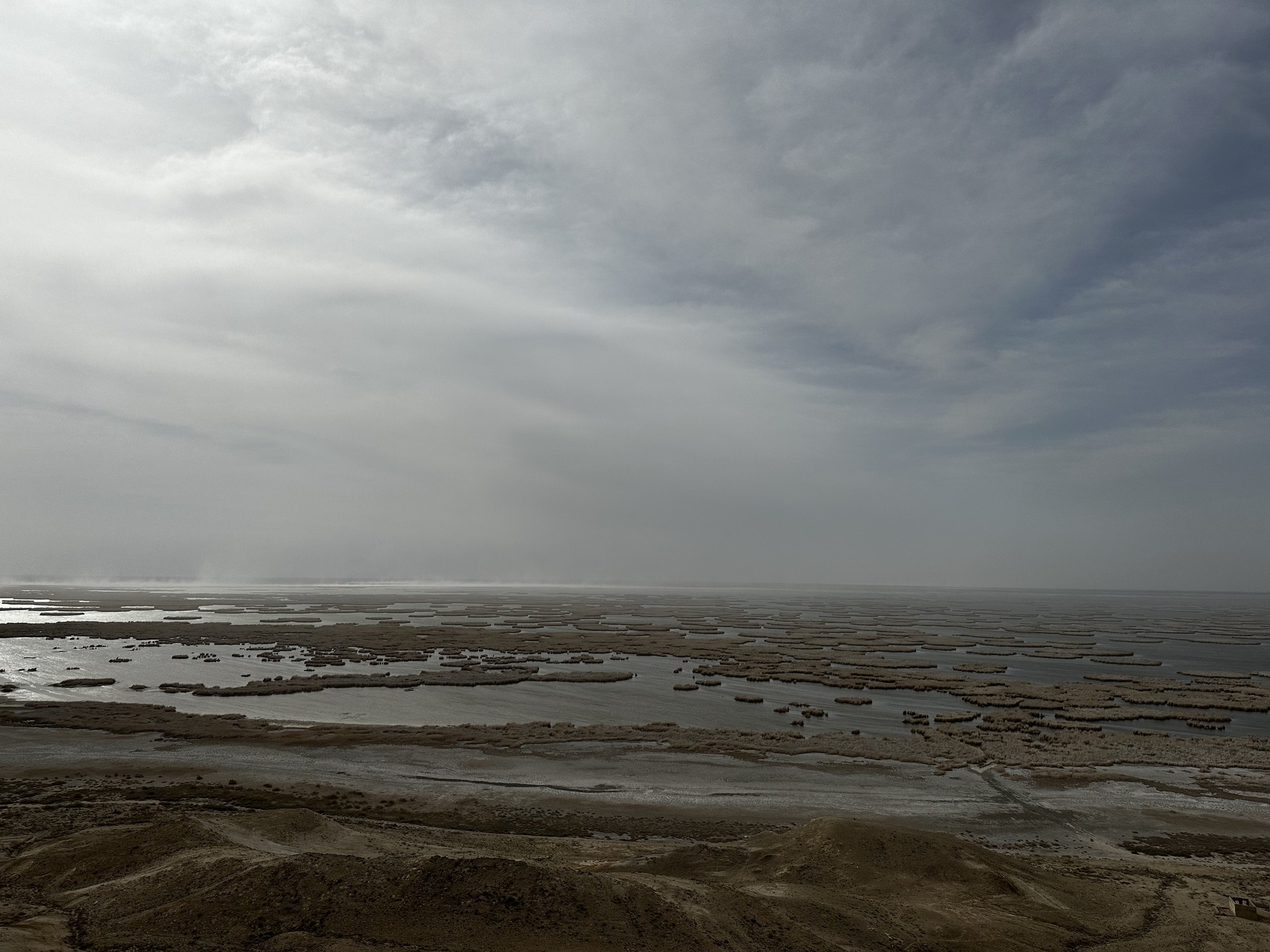 Экспедиция по бассейну реки Амударья началась в Нукусе