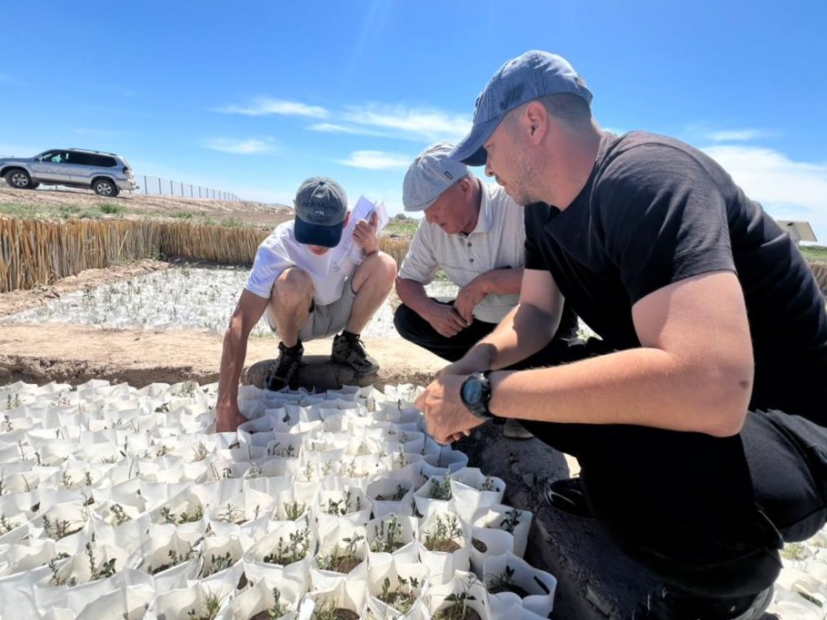 World Day to Combat Desertification and Drought