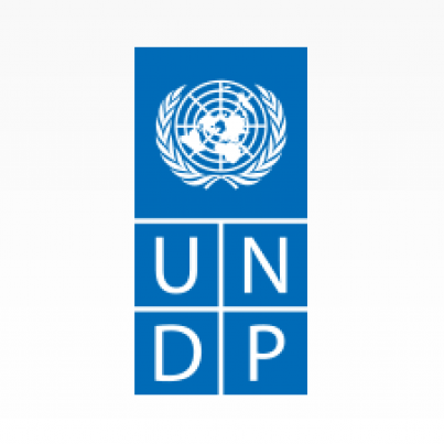 Consultant for the development of the software for “Water Use Plan” for WUAs