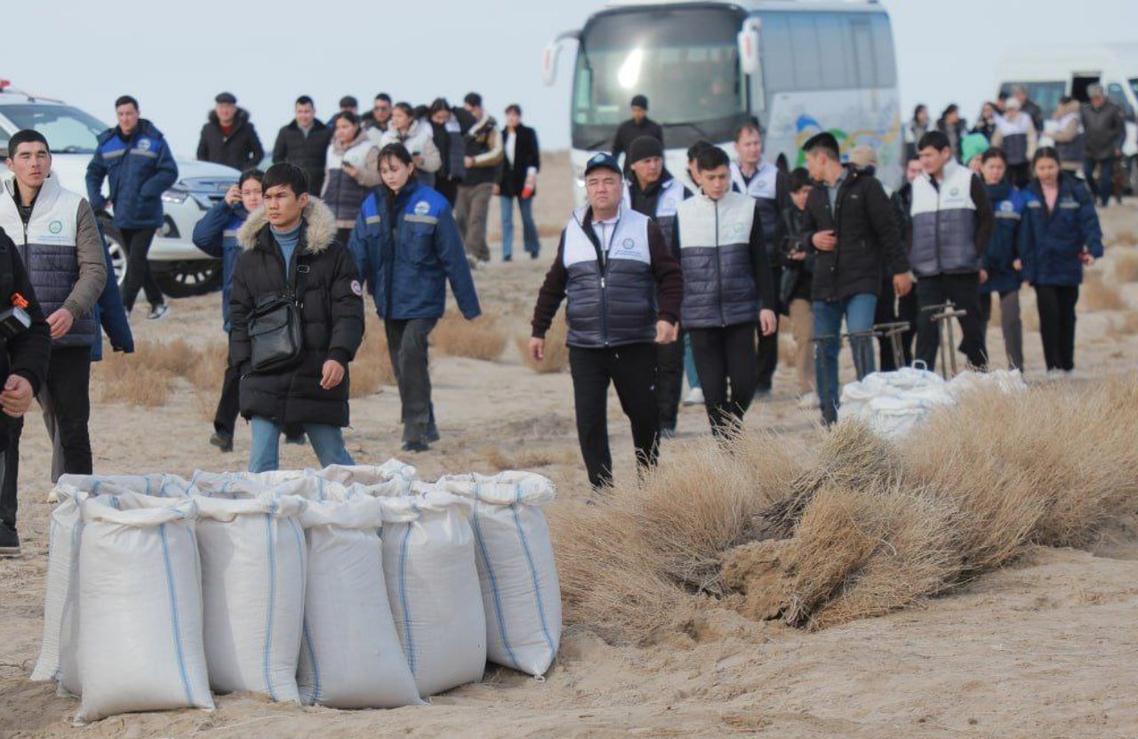 The planting of desert plants has begun on the dried-up bottom of the Aral Sea