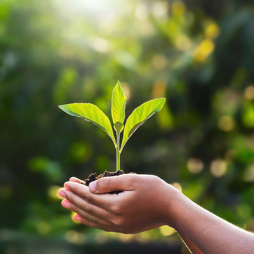 Individual Consultant - Environmental Specialist (Ecologist)