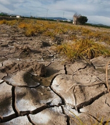 Исследование по экономике деградации земель в странах Азии – вводный семинар