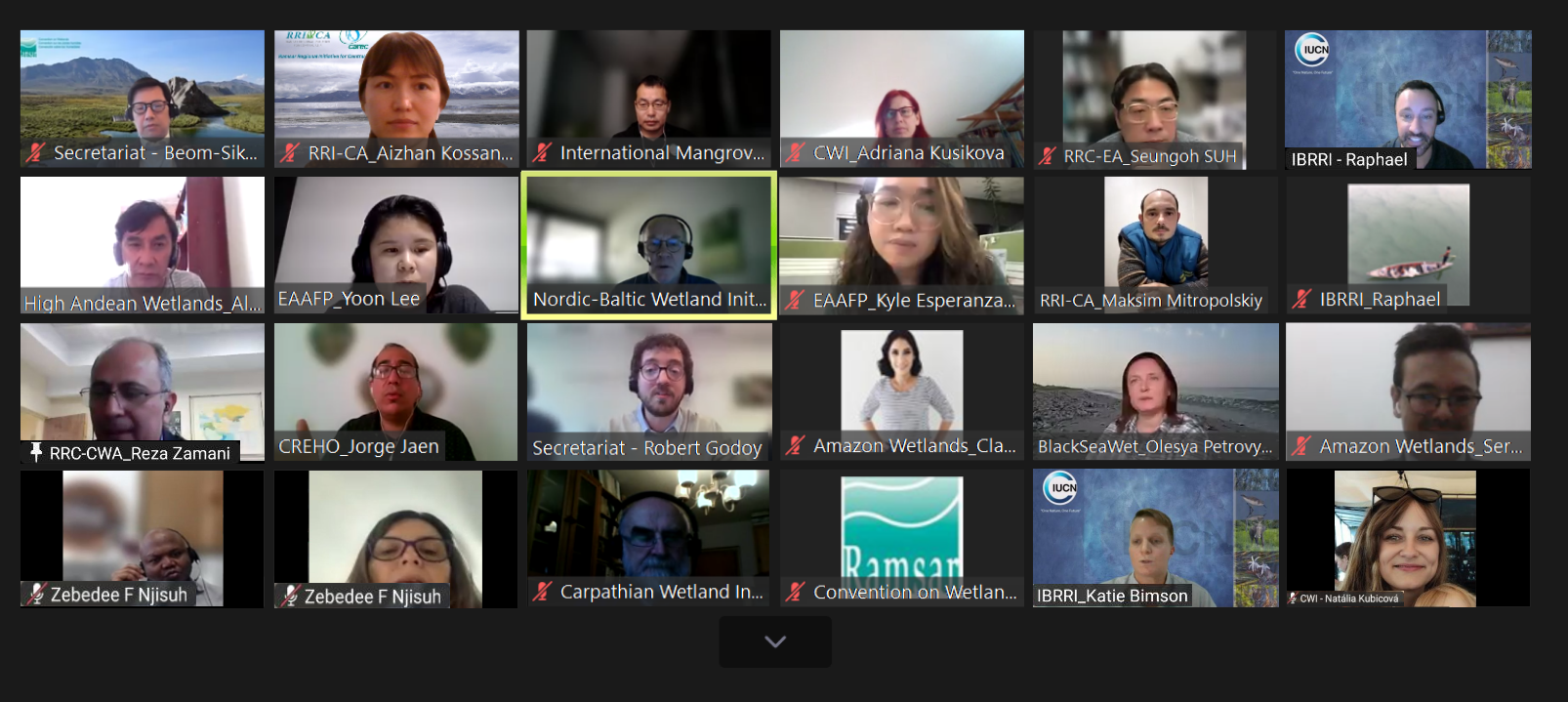 Ramsar Regional Initiatives Annual Planning Meeting: Central Asia presented its results