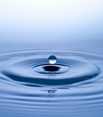 Обмен опытом: в Ашхабаде прошел семинар по ИУВР