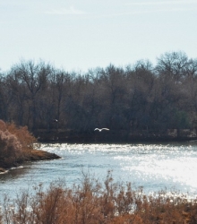 Tour for journalists on water and ecological issues to the Aral Sea