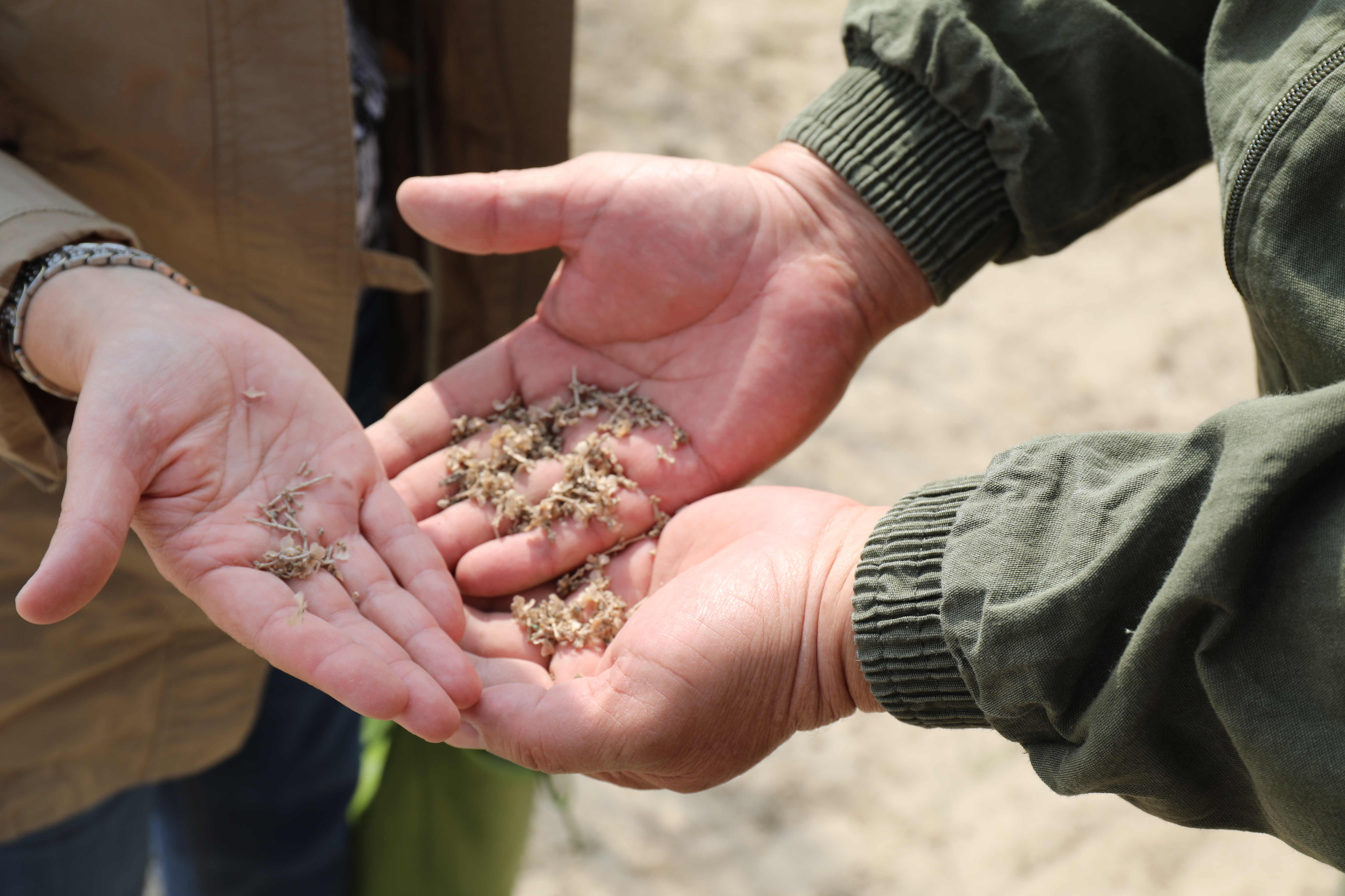 Нексус истории по успешной реализации демонстрационных проектов в Центральной Азии
