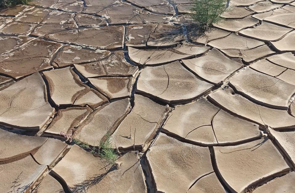 Join the WEFE Nexus Lecture No. 21: Turning challenges into opportunities: Commercial uses for silt: Cases of Tuyamuyun and Tallimarjan reservoirs