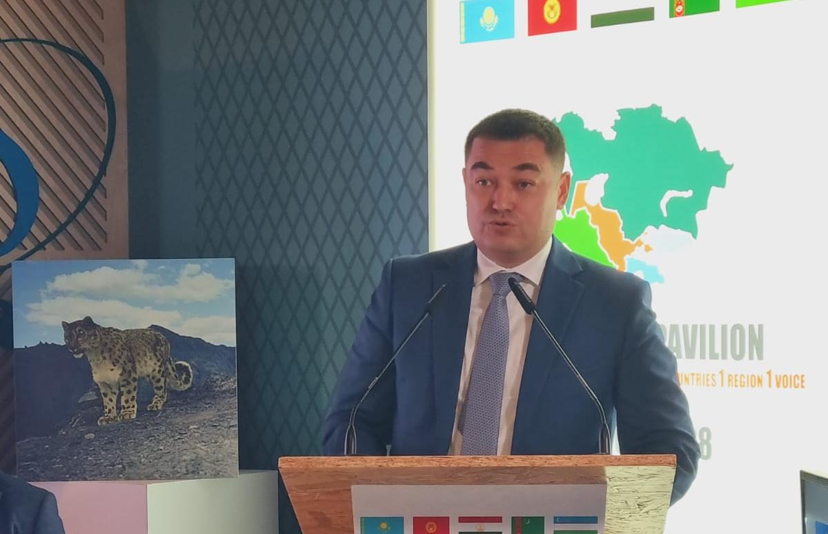 КС-28 РКИК ООН: Мониторинг последствий изменения климата в криосфере Центральной Азии