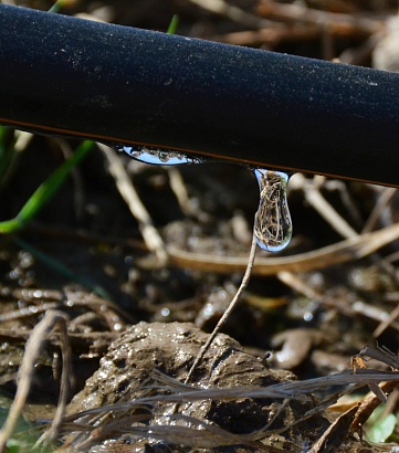 Как РЭЦЦА и USAID помогают фермерам повысить урожайность