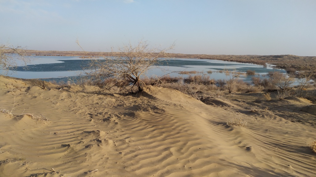 World Wetlands Day: RRI-CA achievements over the past year and plans for 2024