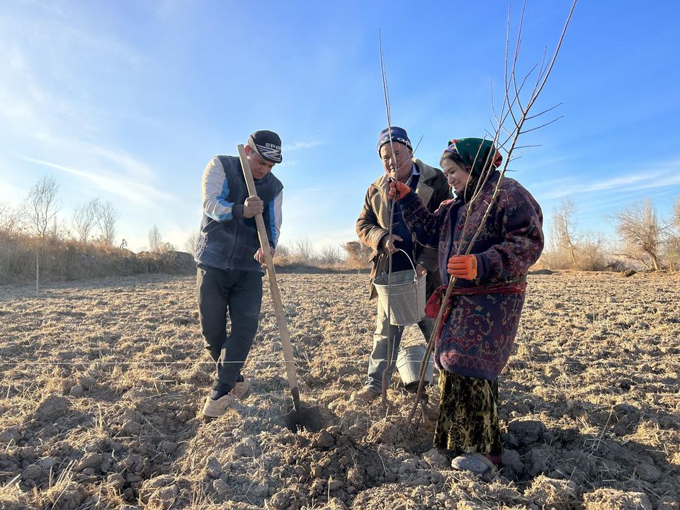 USAID has supported the local government in Dashoguz to afforest the Shavat canal