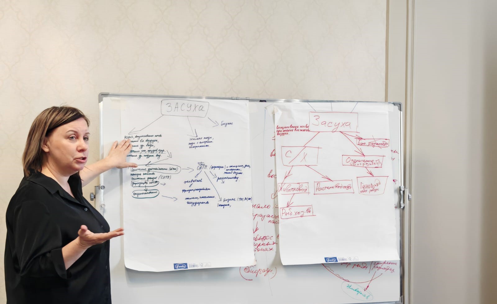 Transboundary rivers of Central Asia are under water stress. How to resist?