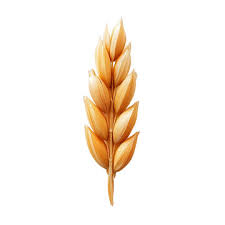 Individual Consultant - Agriculture Specialist