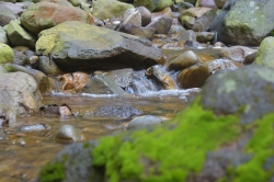 Как молодежь Центральной Азии может быть вовлечена в организацию и проведение Всемирной Недели Воды?