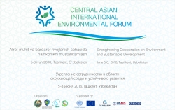 Тематические направления ЦАМЭФ 2018: Аральская конференция