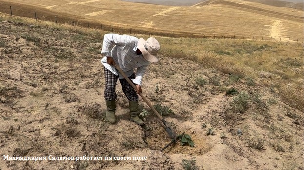 CAMP4ASB помогает воплощать мечты в реальность